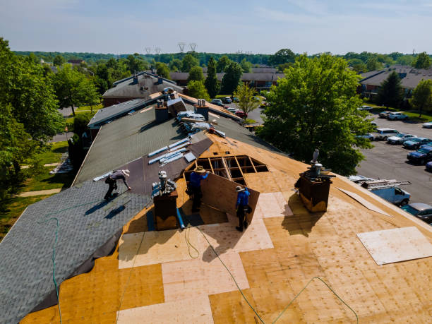 Best Storm Damage Roof Repair  in Hokes Bluff, AL