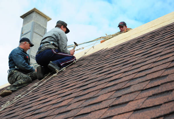 Best Best Roofing Contractors  in Hokes Bluff, AL